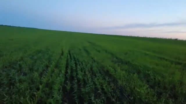Опрыскивание пшеницы на 49 ке 04 05 2019 смотреть онлайн