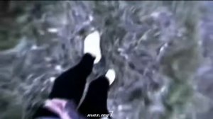 edit:Настя пырнула Макса ножом