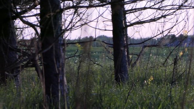 Wisconsin Turkey Hunting | Late Season TANK Gobbler!! смотреть онлайн