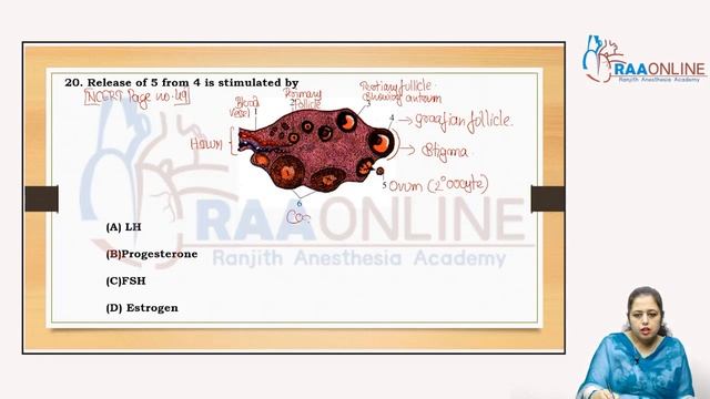 Human Reproduction and Developmental Embryology Part 3 смотреть онлайн