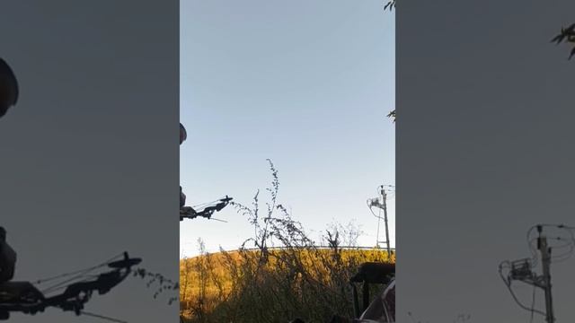 Просто блочный лук, просто 50 м, просто промахи, просто настроился, чтоб отключить мешающие мысли. смотреть онлайн