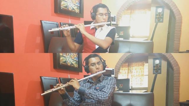 Aladdín - Un Mundo Ideal/A Whole New World (Flute Cover) смотреть онлайн