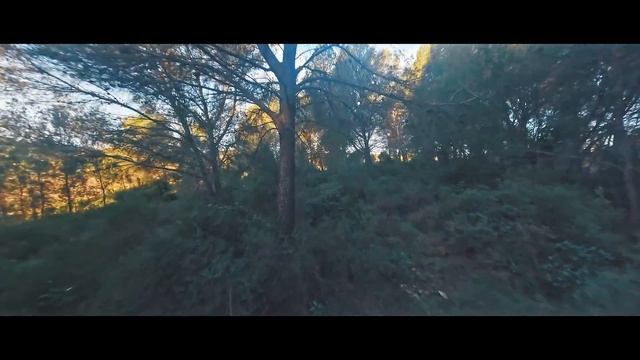 Maiden flight of the 230mm Zephyr Mini Cine V6 using the Battery Guard смотреть онлайн