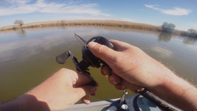 Рыбалка в Астрахани весна 2025