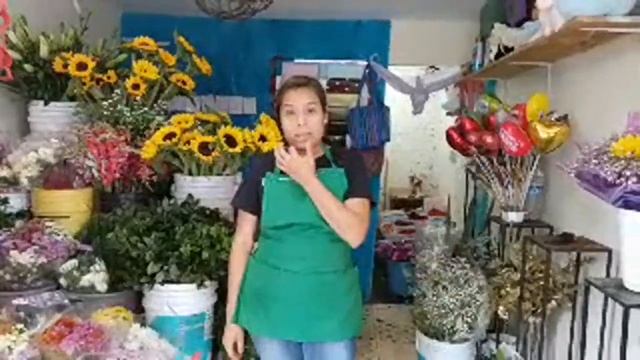 Qué Flores Comprar El 14 De Febrero? Pao Te Ayuda смотреть онлайн