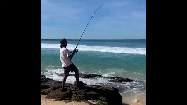 Trips 2 family fishing on the pinnacle beach NSW 18/04/2020 смотреть онлайн