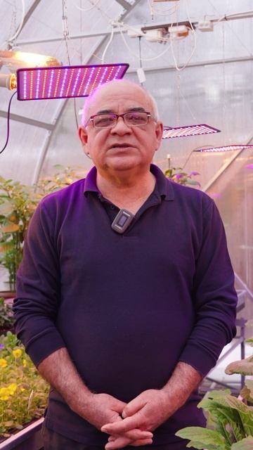 Какие огурцы вкуснее и полезнее? 🥒 смотреть онлайн