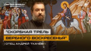"Скорбная трель Вербного воскресенья": Важные уроки Входа Господня в Иерусалим — отец Андрей Ткачёв