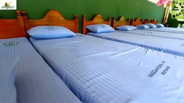 Mahaweli Circuit Bungalow | Review | Wasgamuwa National Park | Sri Lanka смотреть онлайн