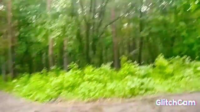 spruce buds spruce and pine tree blossom 🌲🌲🌲 summer rein цветение, ель ,сосна и дождь смотреть онлайн