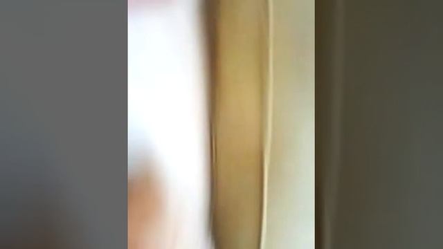 У хомяка в голове ку-ку смотреть онлайн