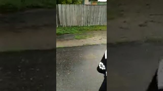 Прогулка по Ковыли 2021.08.22 от Ольги эпизод..третий..WhatsApp Video 2021 08 22 at 04 09 59 смотреть онлайн