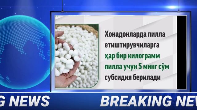 ШОШИЛИНЧ! ХАЛК УЧУН ЁРДАМ 2025-ЙИЛ 1-ЯНВАРГАЧА 5000-СУМ БУЛДИ ТЕЗДА ТАРКАТИНГ смотреть онлайн