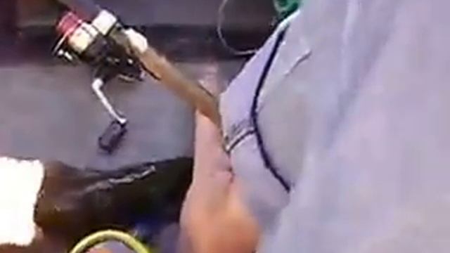 Щука на воблер, снимал на калькулятор!