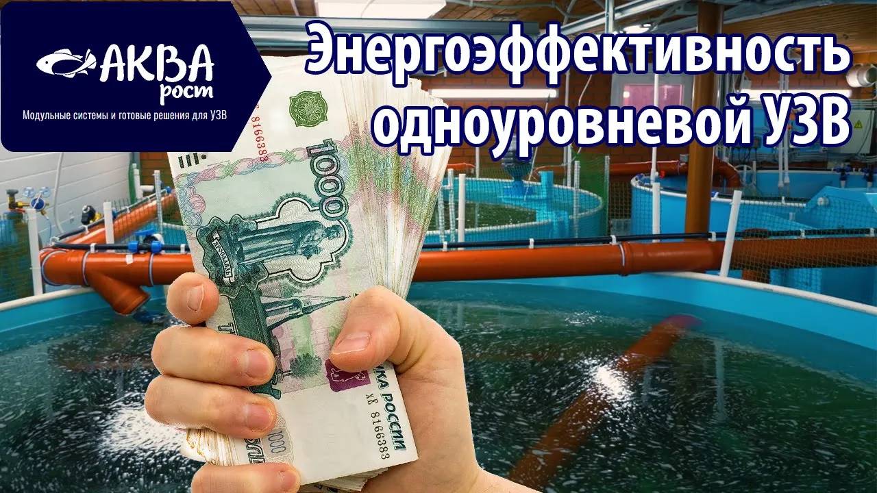 Энергоэффективность одноуровневой УЗВ #рыбоводство #узв #разведениерыбы #романакварост смотреть онлайн