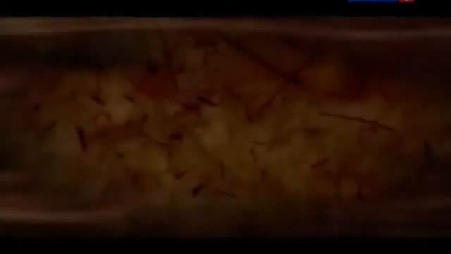 Альтернативная история доказана найдены уникальные артефакты древности смотреть онлайн