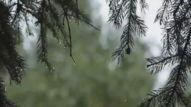 Short heavy rain shower and thunder || study, sleep, meditate or relax || nature sounds vol. 3 смотреть онлайн