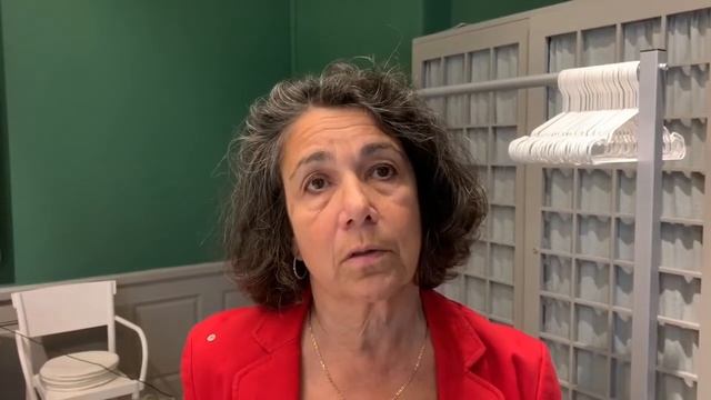 Demokratins framtid med Lena Posner-Körösi смотреть онлайн