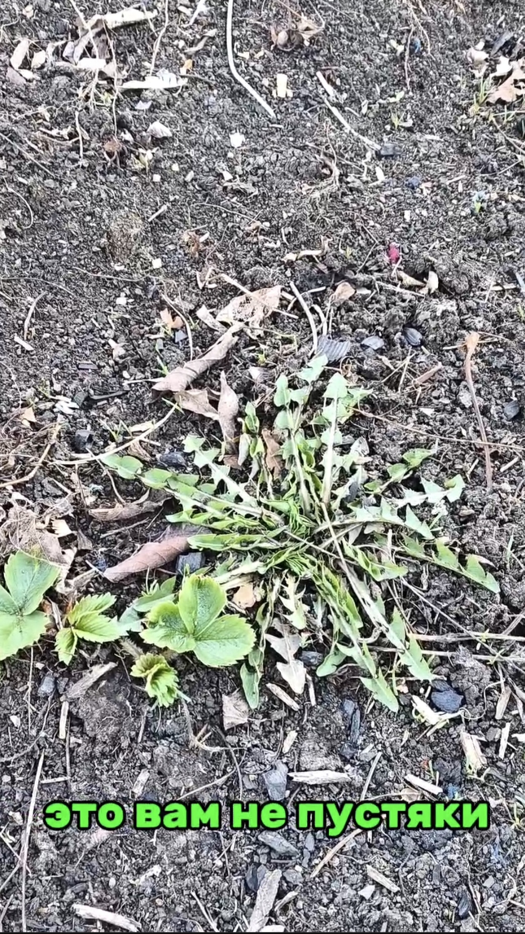 Это вам не пустяки смотреть онлайн