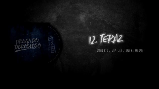 12. Sosna PZS - Teraz // muz. 2RO смотреть онлайн