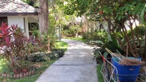 The Hive Hotel in Koh Samui, Thailand