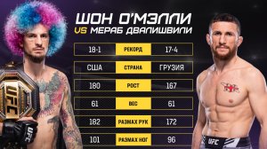 Бой Мераба Двалишвили vs Шон О'МЭЛЛИ UFC