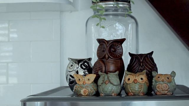 Home Makeover with 100+ Houseplants | Living with Plants смотреть онлайн