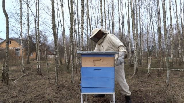 ПЧЁЛЫ.ЗАТЯЖНАЯ ВЕСНА,ЧТО С КОРМАМИ. смотреть онлайн