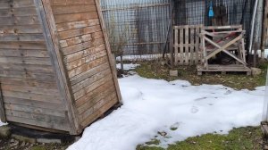 12 апреля. Поездка на дачу