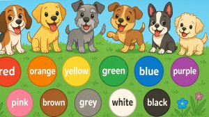 🌈 Какие бывают цвета? Учим с радостью! 😊🎨 — Учим цвета на английском!