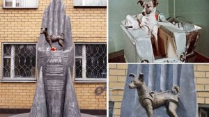 Первая собака-космонавт - Лайка