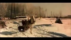 «Пограничный пёс Алый»