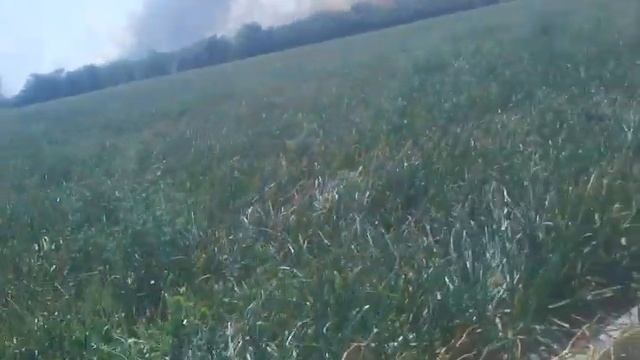 Пожар возле с. Казачьи Лагеря Херсонская обл.2017 08 19 смотреть онлайн
