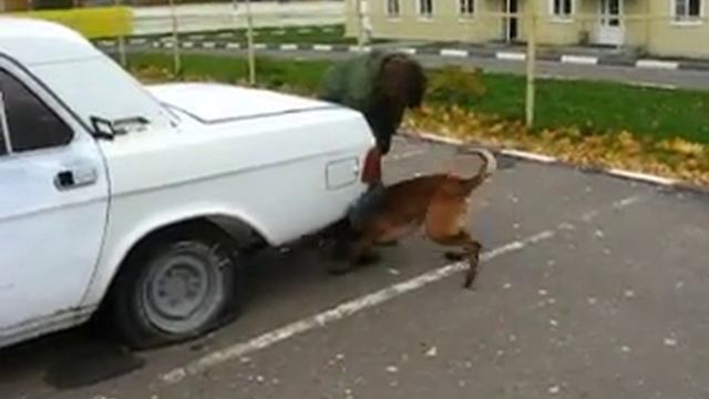 Болт 1г. 7 мес. легковой автотранспорт смотреть онлайн