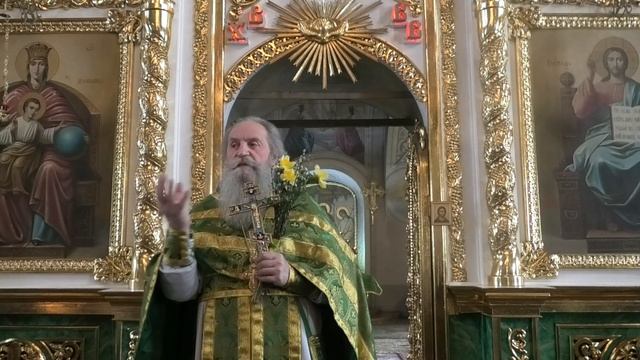 Проповедь отца Павла. Вход Господень в Иерусалим. 13.04.25 смотреть онлайн