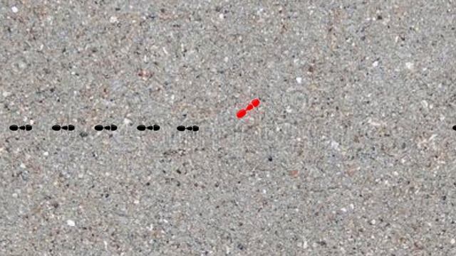 How does the ANT DEATH SPIRAL occur? смотреть онлайн