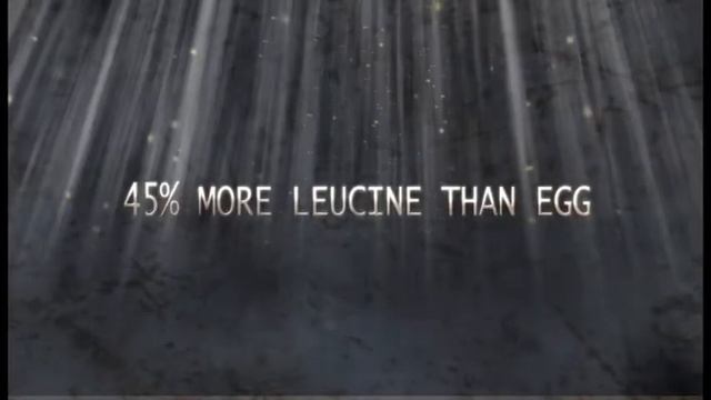 Protein Factory Monster V Protein - The King of Slow Release Protein смотреть онлайн