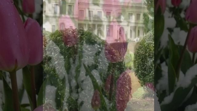 Южный Берег Крыма. Ялта. Снежный день Космонавтики ! Когда такое было?!)12.04.2025. Крым.Crimea.Yalt смотреть онлайн