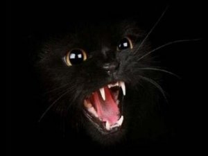 Чёрная пантера