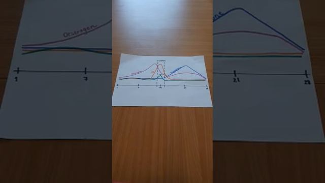 Explaining Puberty in Turner Syndrome 2 смотреть онлайн