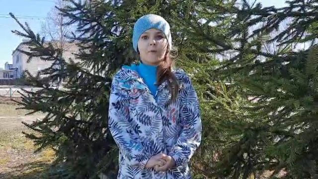Мокрякова Софья 6 лет Суземский район смотреть онлайн