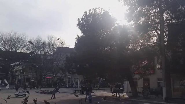 ГОЛУБИ МИРА !!!❤👋🏻❤ смотреть онлайн