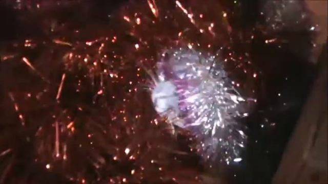 Юность кошки Диши смотреть онлайн