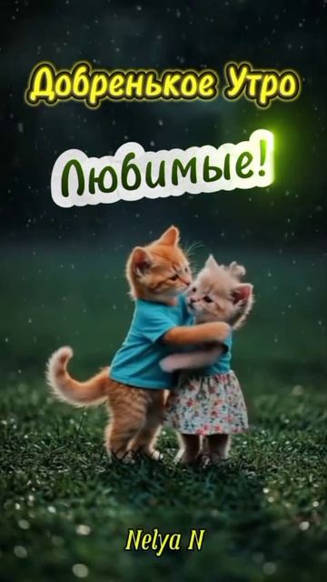 Доброе утро. Добрый вечер. ВидеоОткрытки на Каждый день смотреть онлайн