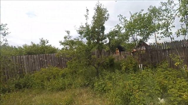 VLOG Бедный хаски / Что растет на огороде / Гиалуроновая маска Alena'sDays смотреть онлайн