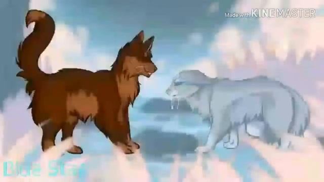 Коты воители "Я люблю тебя " смотреть онлайн