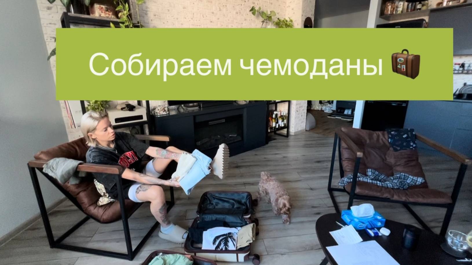 Два арбузера под одной крышей 😅 Собираем чемоданы на психах 🤪 Хочу драться и кусаться 🥊 смотреть онлайн