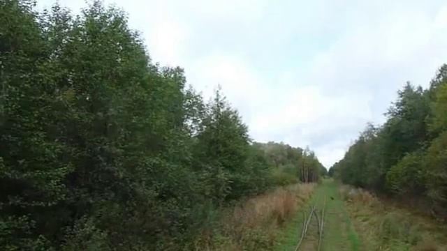 УЖД в Новой Орше смотреть онлайн