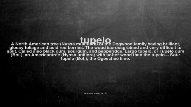 What does tupelo mean смотреть онлайн