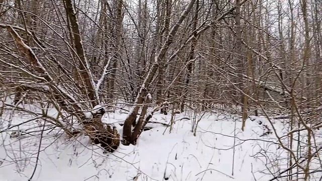 Родник смотреть онлайн